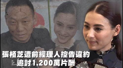 娱乐吃瓜歌曲叫什么
