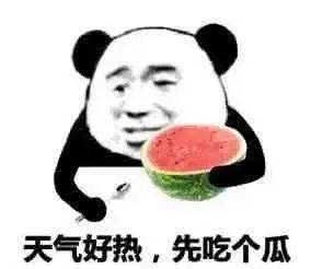 吃瓜表情包猹,吃瓜群众的欢乐源泉